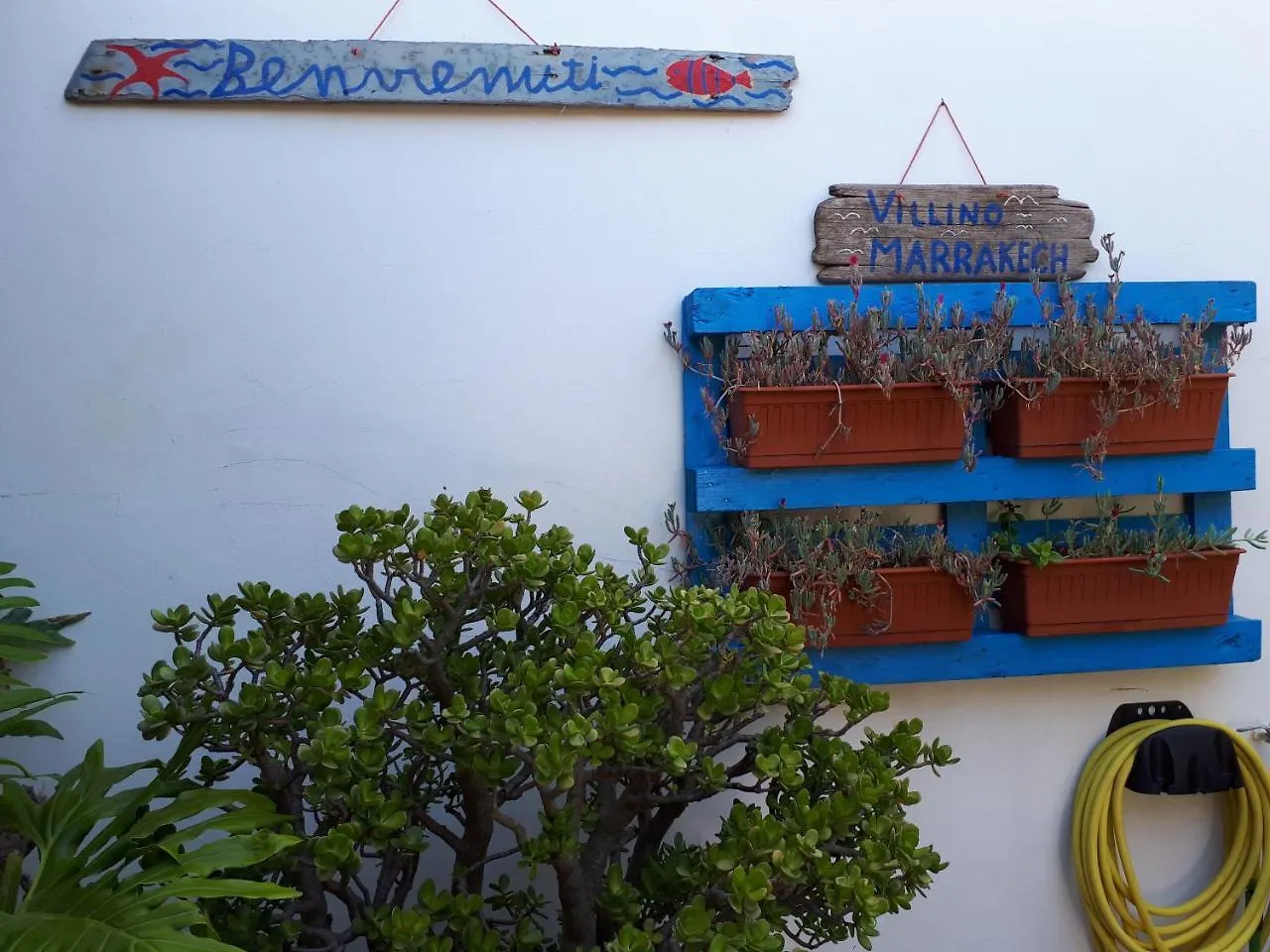 Appartamento Villino Marrakech Calasetta Italia